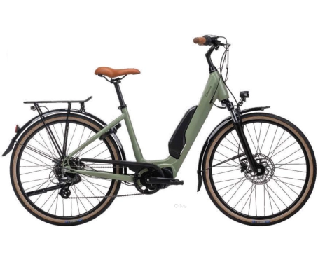 Vélo électrique urbain Unisexe E-CITY STEPS 26 504 Wh Vert Olive